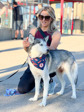 Load image into Gallery viewer, Cardinals Fur Mama + Fur Baby SET
