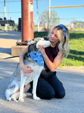 Load image into Gallery viewer, Royals Dog Bandana
