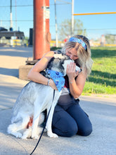 Load image into Gallery viewer, Royals Dog Bandana
